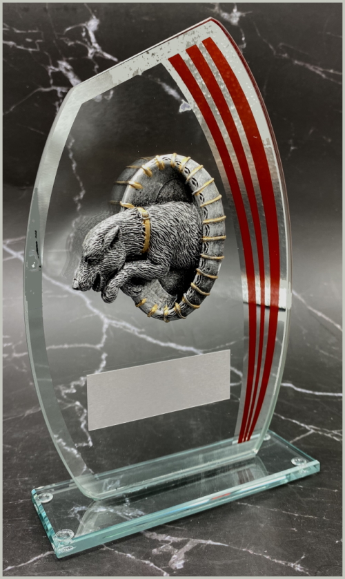 Hundesport Agility Glasstatuett