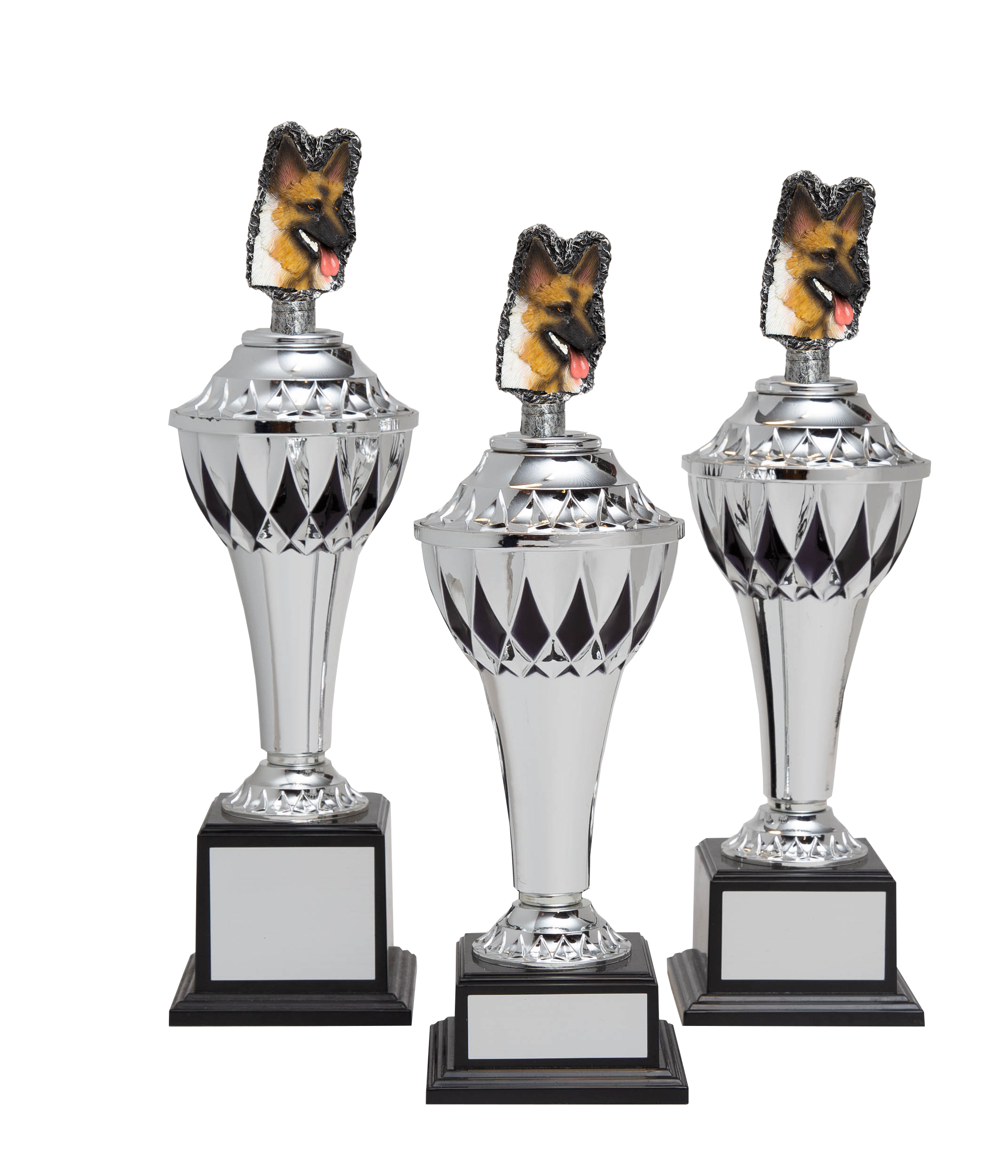 Pokaler Hundesport Basel